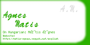 agnes matis business card